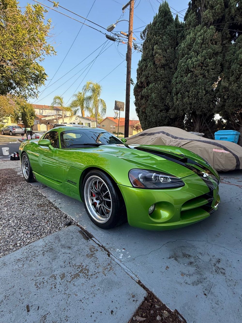 Detailed green Dodge Viper, mobile detailing
