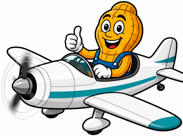 Golden Peanut's Detail mascot flying a plane